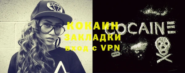 индика Сосновка