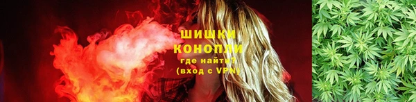 гидра Сосновый Бор