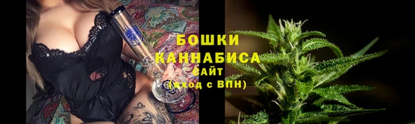 метадон Белокуриха