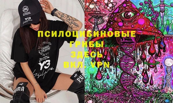 индика Сосновка
