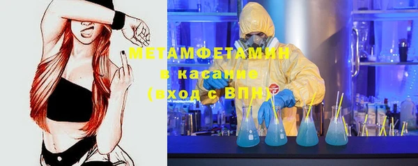 индика Сосновка
